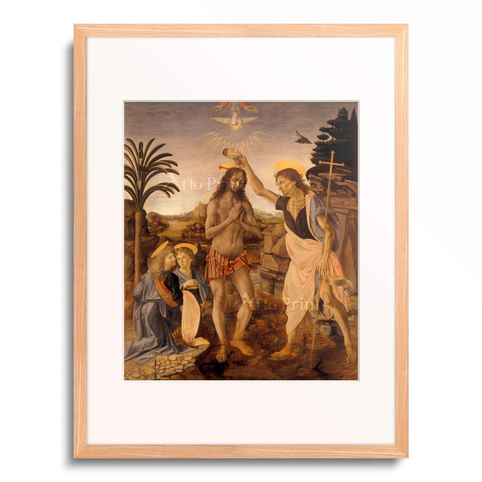 Amazon｜アンドレア・デル・ヴェロッキオ Andrea del Verrocchio